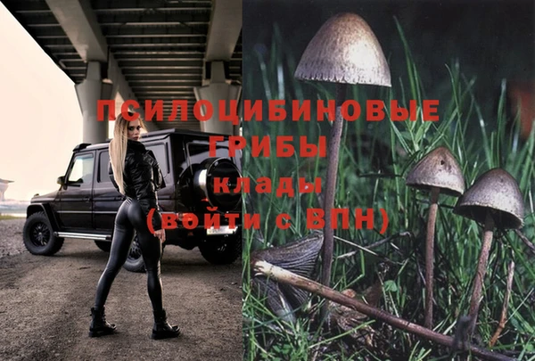 мяу мяу кристалл Елизово