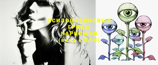 амф Елабуга